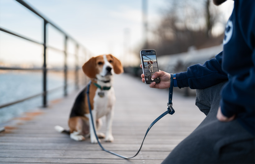 L’eccezionale qualità della fotocamera di iPhone rende più belle le schede degli animali per ogni cliente.