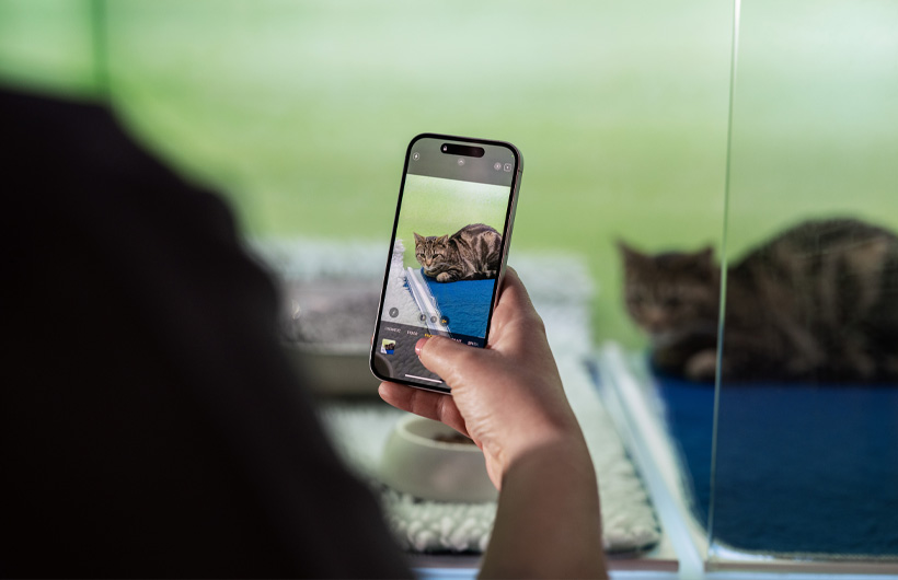 Die Pflegekräfte versenden mit dem iPhone regelmäßig aktuelle Fotos der Haustiere, um die Besitzer:innen zusätzlich zu beruhigen.